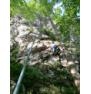 Single climbing rope Edelrid Boa 9,8 70m