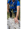 Climbing harness Climbing Technology Wall