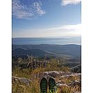 Women hiking shoes Salewa Rapace GTX