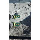 Women hiking shoes Salewa Rapace GTX