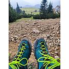 Women hiking shoes Salewa Rapace GTX