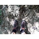 Men Salewa MTN Trainer Mid GTX