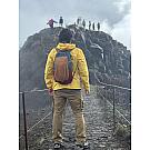 Men Salewa MTN Trainer Mid GTX