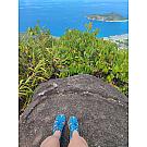 Women sandals Keen Clearwater CNX