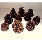 10 cones for 10 euro