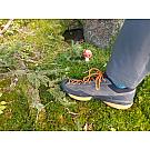 Men approach shoes Scarpa Mescalito
