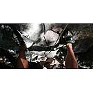 Men climbing shoes Scarpa Vapor V