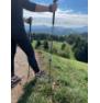 Women trekking poles Black Diamond Trail