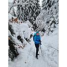 Women backpack Salewa Alp Trainer 30+3