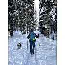 Women backpack Salewa Alp Trainer 30+3