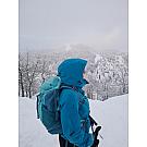 Women backpack Salewa Alp Trainer 30+3