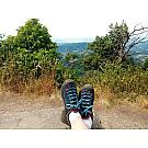 Women shoes Salewa MTN Trainer GTX