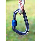 Screwlock carabiner Black Diamond HotForge