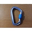 Screwlock carabiner Black Diamond HotForge