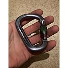 Screwgate carabiner Black Diamond Pearlock