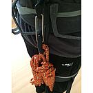 Harness Tool Holder Petzl Caritool