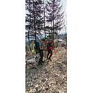 Black Diamond Trail Cork trekking poles