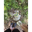 Altra Lone Peak 9+ Women's Running Shoes