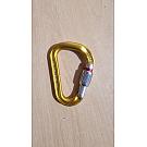 Carabiner with Petzl Attache nut