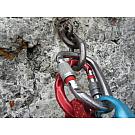 William Screw-lock Carabiner