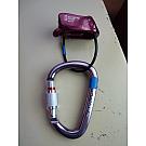 William Screw-lock Carabiner