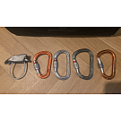 William Screw-lock Carabiner