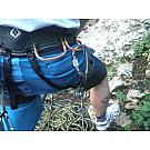 William Screw-lock Carabiner