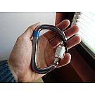 William Screw-lock Carabiner