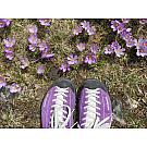 Scarpa Mojito Low Hiking Shoes