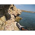 Scarpa Mojito Low Hiking Shoes
