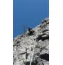 Single climbing rope Edelrid Boa 9,8 60m