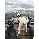 Women's Salewa Crow GTX hiking shoes